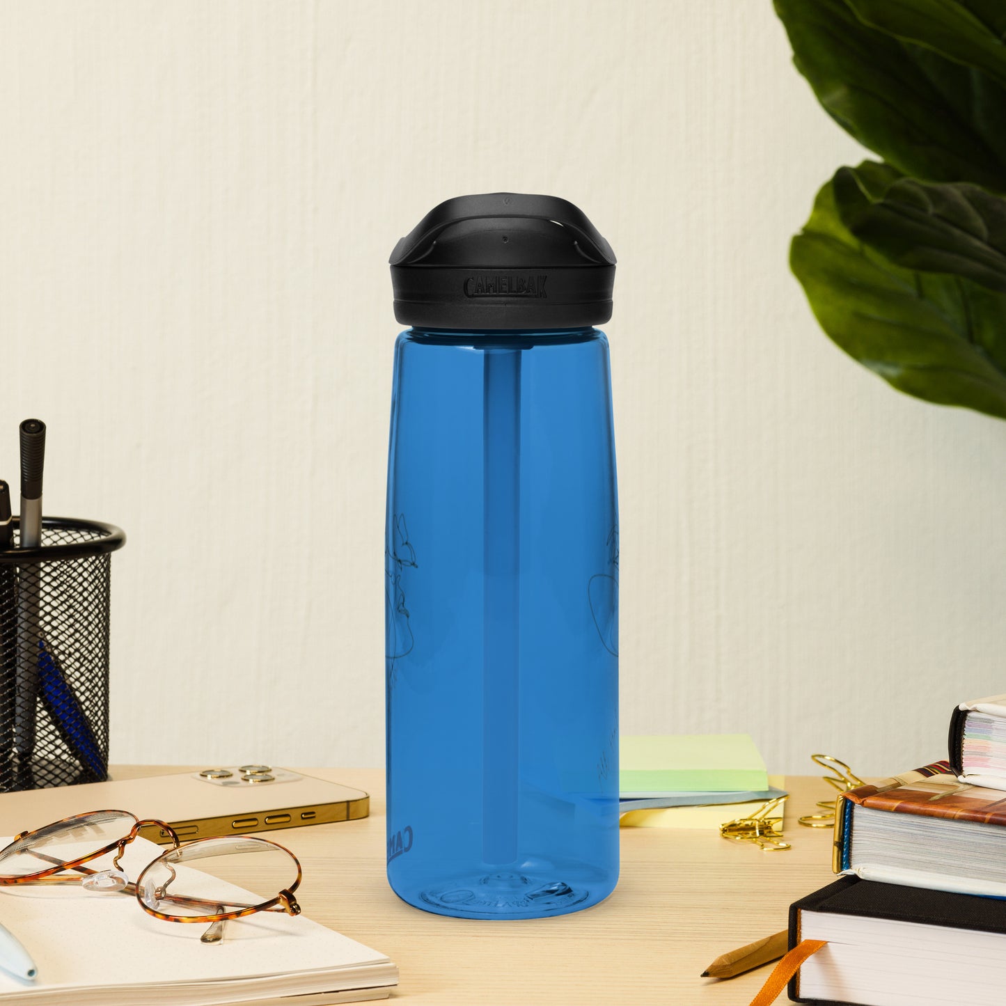 Sports water bottle